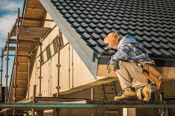 Best Skylight Installation and Repair  in Pisgah, AL