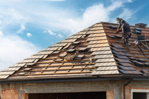 Best Asphalt Shingle Roofing  in Pisgah, AL